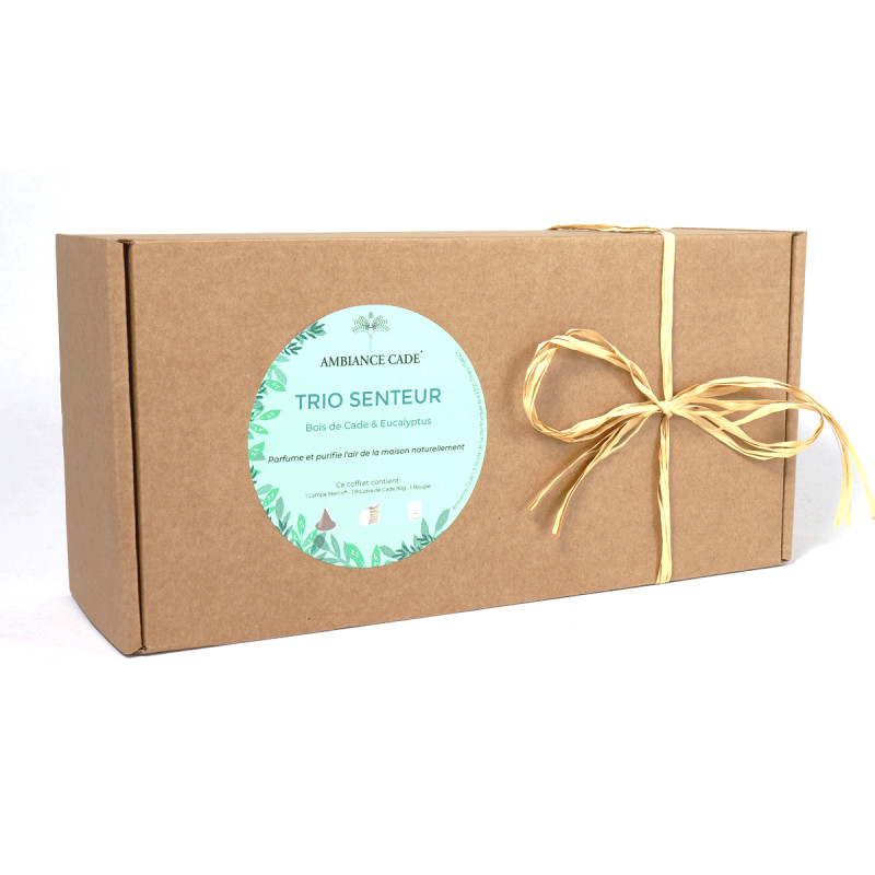 Duft-Trio Eukalyptus- Das perfekte Geschenk-Set